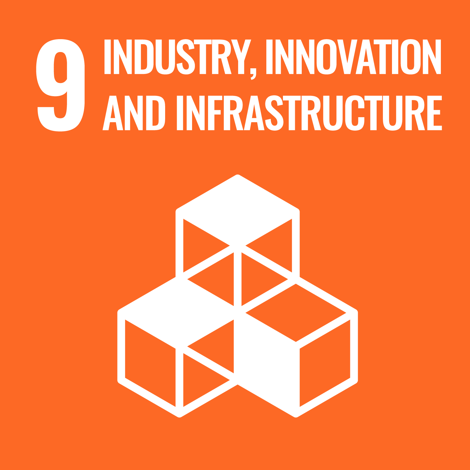 Industry, Innovation and Infrastructure (UN SDG 9)
