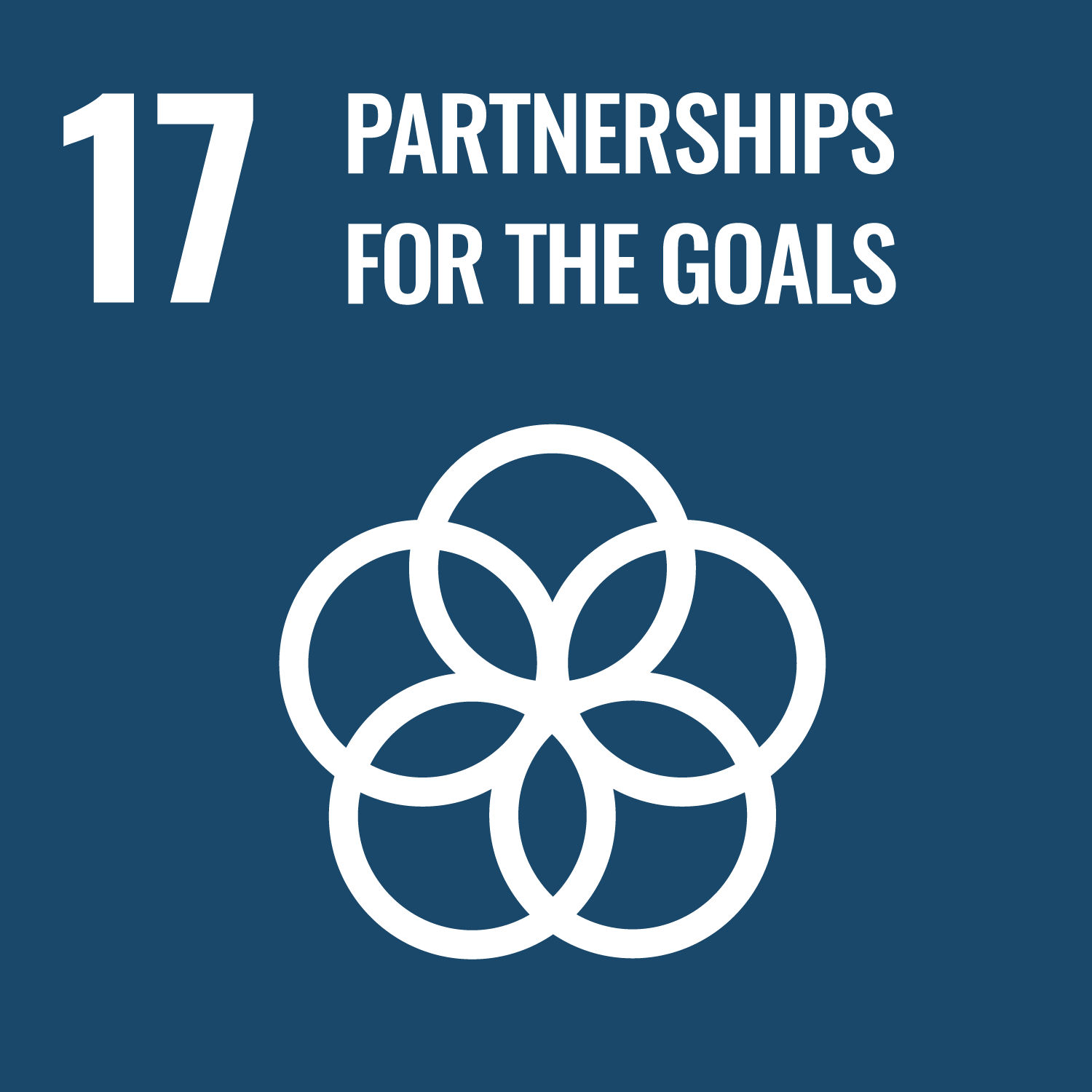 Partnerships for the Goals (UN SDG 17)