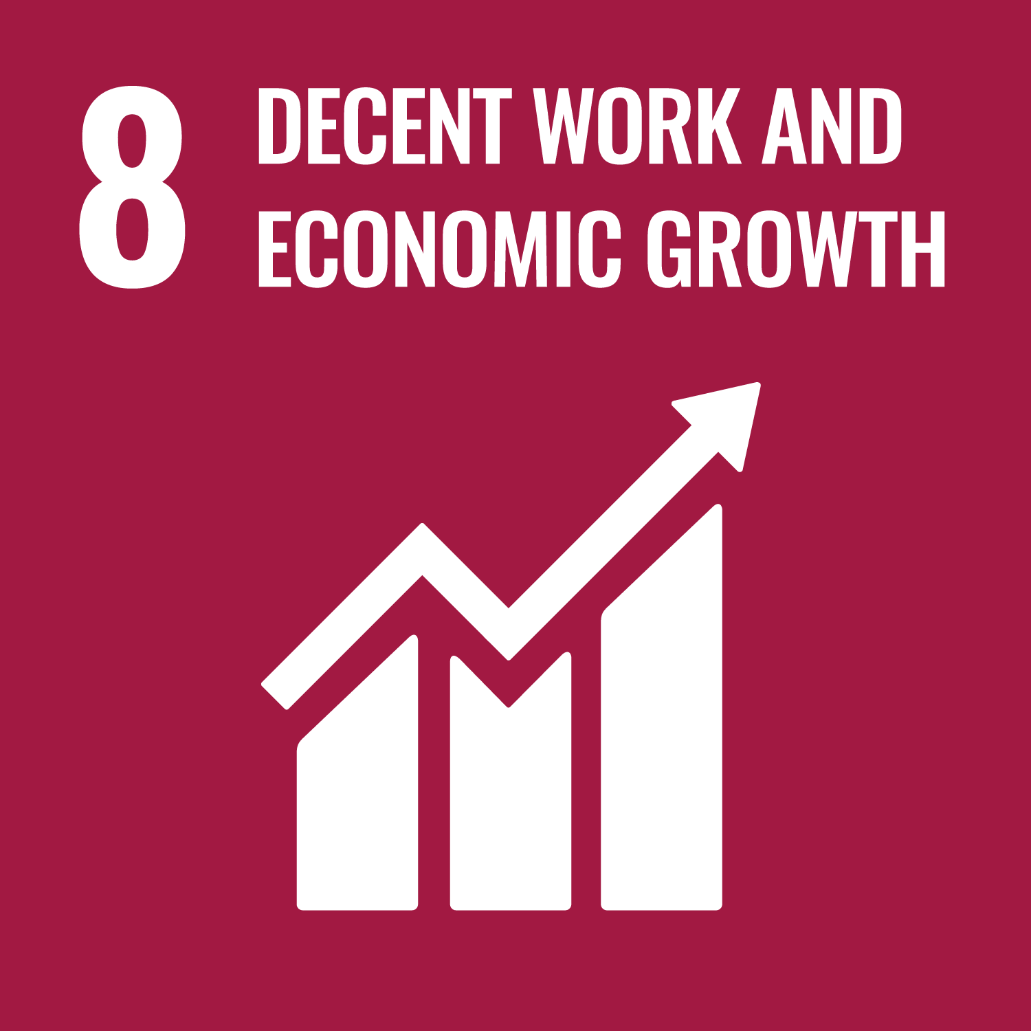 Decent Work and Economic Growth (UN SDG 8)